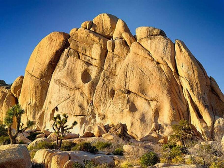 Cozy Stylish Home In The Heart Of Jt Village Joshua Tree Eksteriør billede